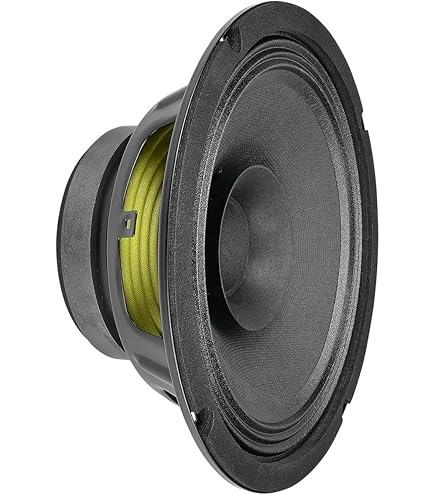 Amazon.com: Jensen Vintage C8R4 8-Inch Ceramic Speaker, 4 ohm